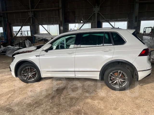 Volkswagen Tiguan. 5NZ, DFG ����