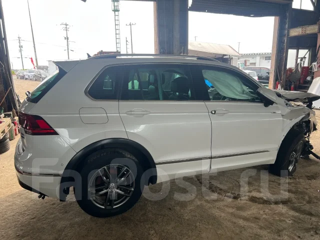Volkswagen Tiguan. 5NZ, DFG ����