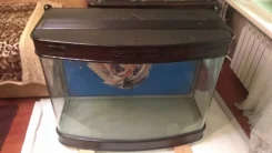 ���������. ����