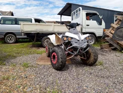 G-Max Racer 125. ��������, �� ����