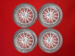 RAYS Cerumo Sports