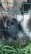 ����. ����