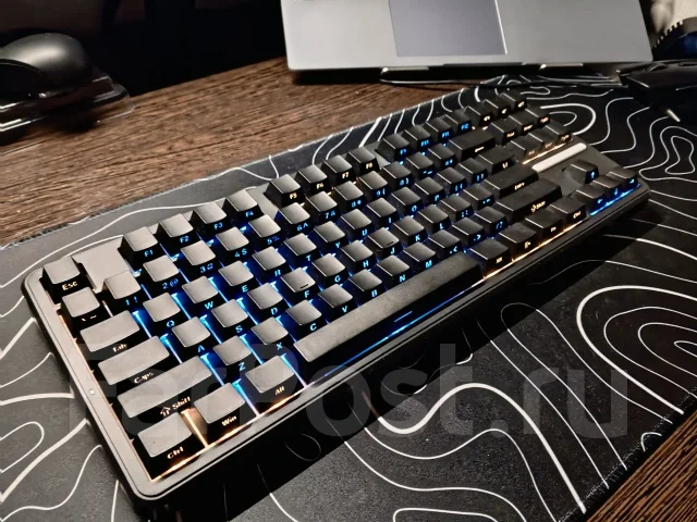 ����������. ����