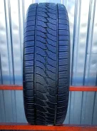 Firestone Multiseason
