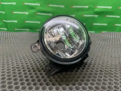 ��� Citroen / Peugeot / FORD / Honda 51858824 51858824 ����