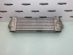 ���������� Ford Transit �������� ������� 8ML376765101 ����
