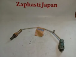 ������ ����������� Nissan Elgrand 226A0WL000 E51 VQ25DE 226A0WL000 ����