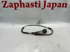 ������ ����������� Honda Odyssey 36532RFEJ02 RB1 K24A, ������ 36532RFEJ02 ����