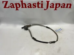 ������ ����������� Honda Odyssey 36532RFEJ02 RB1 K24A, ������ 36532RFEJ02 ����