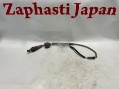 ������ ����������� Honda Odyssey 36532RFEJ02 RB1 K24A, ������ 36532RFEJ02 ����