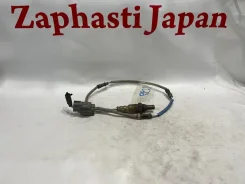 ������ ����������� Honda Odyssey 36532RFEJ02 RB1 K24A, ������ 36532RFEJ02 ����