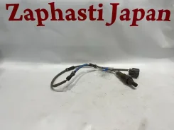 ������ ����������� Honda Odyssey 36532RFEJ02 RB1 K24A, ������ 36532RFEJ02 ����