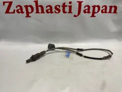 ������ ����������� Honda Odyssey 36532RFEJ02 RB1 K24A, ������ 36532RFEJ02 ����