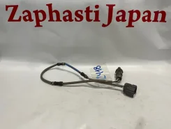 ������ ����������� Honda Odyssey 36532RFEJ02 RB1 K24A, ������ 36532RFEJ02 ����
