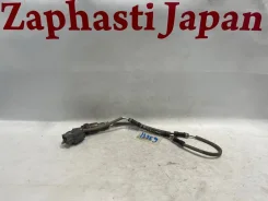 ������ ����������� Honda Odyssey 36532RFEJ02 RB1 K24A, ������ 36532RFEJ02 ����