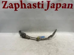 ������ ����������� Honda Odyssey 36532RFEJ02 RB1 K24A, ������ 36532RFEJ02 ����