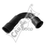 �������� ���������� ������� Volkswagen GOLF IV 1.9TDI 97-04, SEAT Toledo II 1.9D, LEON Cautex ���. 461393 461393 ����