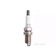����� ��������� OE033T10 ����