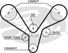 ������ ��� Hyndai Santa FE 2.7 06-, KIA Carnival, Magentis 2.7 06- Gates ���. 5636XS Gates 5636XS ����