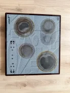 �������� �����������. ����