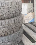 Compasal Winter Stud. ������, ��� �����, 2023 ���, �/�, ����� 5 % ����