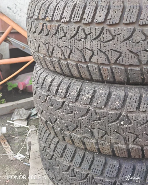 Compasal Winter Stud. ������, ��� �����, 2023 ���, �/�, ����� 5 % ����
