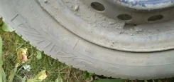 Sava. ������, �/�, ����� 50 % ����
