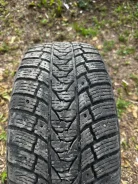 Greentrac Winter Master S1. ������, ����������, �/�, ����� 35 % ����