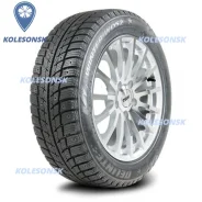 Delinte Winter WD52