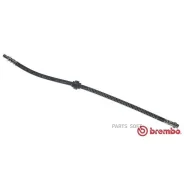 ����� ��������� Citroen Berlingo Multispace (B9) 1 Brembo T61036 T61036 ����