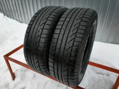 Continental ContiWinterContact TS 810