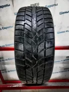 Hankook Winter i*cept RS W442