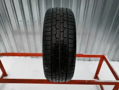 Firestone Winterhawk 2