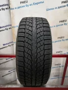 Bridgestone Blizzak Nordic