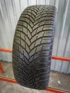 Firestone Winterhawk