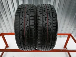 Firestone Winterhawk 2