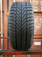 Gislaved Euro Frost 5