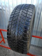 Bridgestone Blizzak Nordic