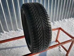 Goodyear UltraGrip Performance 2