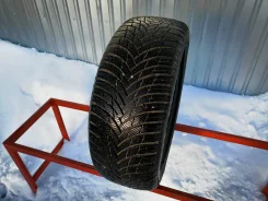 Firestone Winterhawk