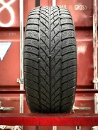 Gislaved Euro Frost 5