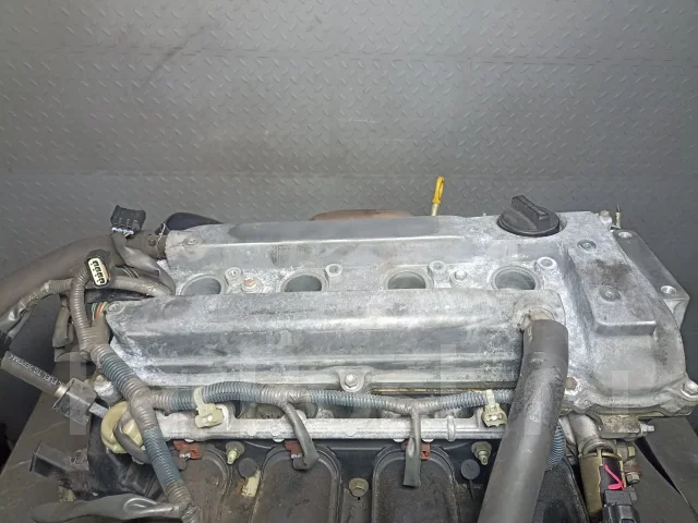 ��������� Toyota Alphard 1900028120 1900028120 ����
