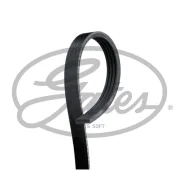 ������ ������������ Gates 4PK695SF 4PK695SF ����