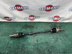 ������ Nissan AD 2000 391004M465 VFY11-060280 QG15DE, �������� ������ 391004M465 ����