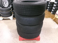 Dunlop Grandtrek H/T31