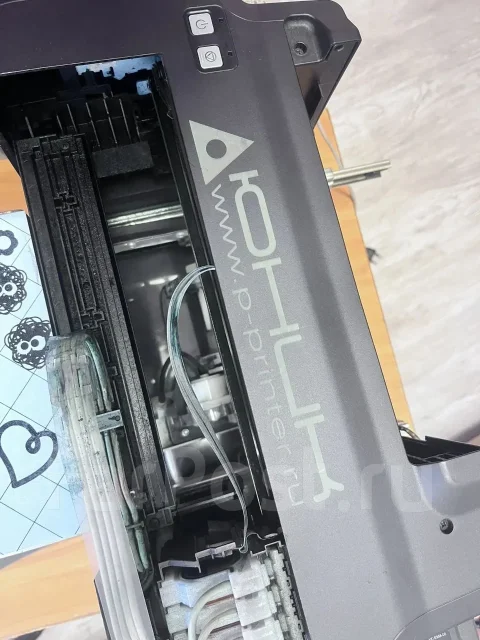 ��������. ����