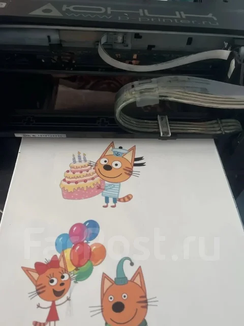 ��������. ����