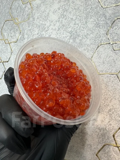 ���� �������. ����