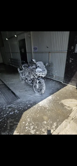 Suzuki SV 1000. 1 000����. ��., ��������, ���������, ������ �� �� ����