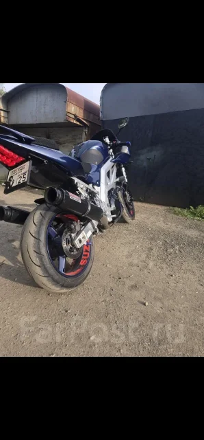 Suzuki SV 1000. 1 000����. ��., ��������, ���������, ������ �� �� ����